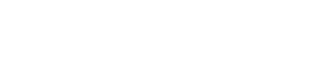 11 Ebony